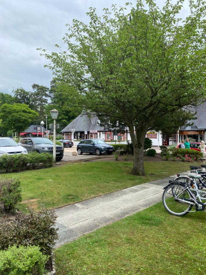 Strandallee Ferienwohnung Timmendorfer Strand Buitenkant foto